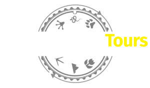logo photo wildlife tours: tours de fotografía ecuador