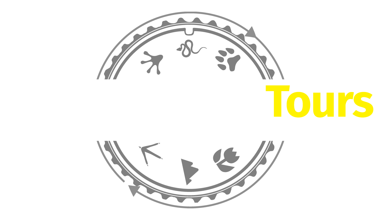 logo photo wildlife tours: tours de fotografía ecuador